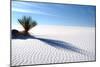 Sand Shadows I-Douglas Taylor-Mounted Photographic Print