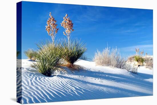 Sand Shadows II-Douglas Taylor-Stretched Canvas