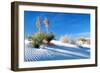 Sand Shadows II-Douglas Taylor-Framed Photographic Print