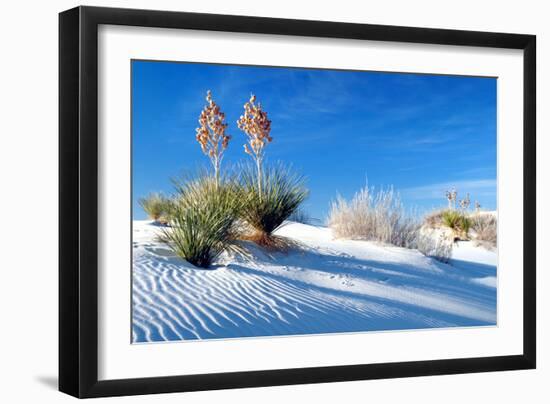 Sand Shadows II-Douglas Taylor-Framed Photographic Print