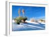 Sand Shadows II-Douglas Taylor-Framed Photographic Print