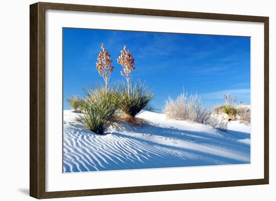 Sand Shadows II-Douglas Taylor-Framed Photographic Print