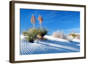 Sand Shadows II-Douglas Taylor-Framed Photographic Print