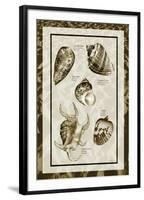 Sand & Shells I-Alan Hausenflock-Framed Photographic Print