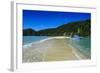 Sand Split in the Abel Tasman National Park, South Island, New Zealand, Pacific-Michael-Framed Photographic Print