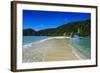 Sand Split in the Abel Tasman National Park, South Island, New Zealand, Pacific-Michael-Framed Photographic Print