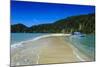 Sand Split in the Abel Tasman National Park, South Island, New Zealand, Pacific-Michael-Mounted Photographic Print