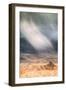 Sand Storm Design at Zabriskie Point Death Valley-Vincent James-Framed Photographic Print