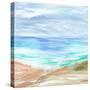 Sand Strokes IV-Annie Warren-Stretched Canvas