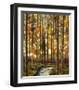 Sand Sun Trough-Shawn Meharg-Framed Giclee Print