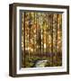 Sand Sun Trough-Shawn Meharg-Framed Giclee Print