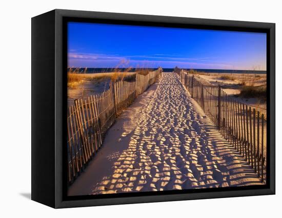 Sand Trail on Santa Rosa Island-Joseph Sohm-Framed Stretched Canvas