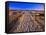 Sand Trail on Santa Rosa Island-Joseph Sohm-Framed Stretched Canvas