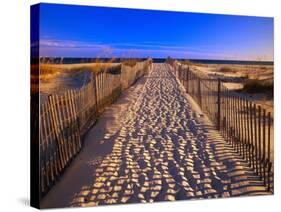 Sand Trail on Santa Rosa Island-Joseph Sohm-Stretched Canvas