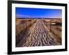 Sand Trail on Santa Rosa Island-Joseph Sohm-Framed Photographic Print