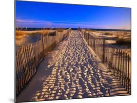 Sand Trail on Santa Rosa Island-Joseph Sohm-Mounted Photographic Print