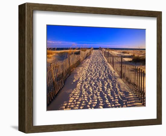 Sand Trail on Santa Rosa Island-Joseph Sohm-Framed Photographic Print