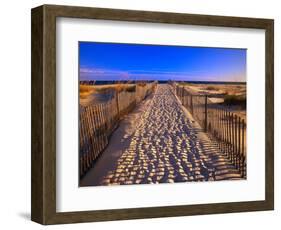 Sand Trail on Santa Rosa Island-Joseph Sohm-Framed Photographic Print