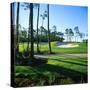 Sand Trap in a Golf Course, Regatta Bay Golf Course and Country Club, Destin, Okaloosa County-null-Stretched Canvas