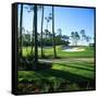 Sand Trap in a Golf Course, Regatta Bay Golf Course and Country Club, Destin, Okaloosa County-null-Framed Stretched Canvas