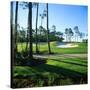 Sand Trap in a Golf Course, Regatta Bay Golf Course and Country Club, Destin, Okaloosa County-null-Stretched Canvas