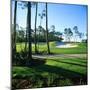 Sand Trap in a Golf Course, Regatta Bay Golf Course and Country Club, Destin, Okaloosa County-null-Mounted Premium Photographic Print