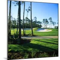 Sand Trap in a Golf Course, Regatta Bay Golf Course and Country Club, Destin, Okaloosa County-null-Mounted Photographic Print