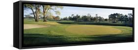 Sand Trap in a Golf Course, Westport Golf Gourse, North Myrtle Beach, South Carolina, USA-null-Framed Stretched Canvas