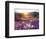 Sand Verbena and Dune Primrose Wildflowers at Sunset, Anza-Borrego Desert State Park, California-Christopher Talbot Frank-Framed Photographic Print