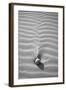 Sand Wind and Light No 2 BW-Istv?n Nagy-Framed Photographic Print