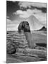 Sandbags Being Used to Protect Sphinx Against Enemy Bombs, Giza, Egypt, 1942-Bob Landry-Mounted Photographic Print