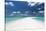 Sandbank and tropical island, Maldives, Indian Ocean, Asia-Sakis Papadopoulos-Stretched Canvas