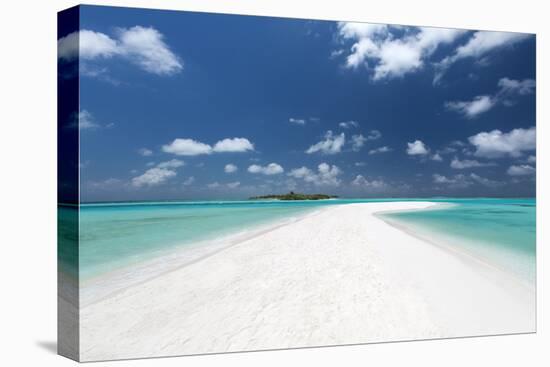 Sandbank and tropical island, Maldives, Indian Ocean, Asia-Sakis Papadopoulos-Stretched Canvas