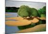 Sandbanks on the Loire-Félix Vallotton-Mounted Giclee Print