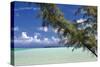 Sandbar Pelican Cay-Larry Malvin-Stretched Canvas