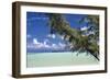 Sandbar Pelican Cay-Larry Malvin-Framed Photographic Print