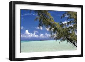 Sandbar Pelican Cay-Larry Malvin-Framed Photographic Print