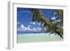 Sandbar Pelican Cay-Larry Malvin-Framed Photographic Print