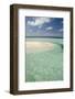 Sandbar Surrounded by Crystal Water, Goff Caye, Caribbean Sea, Belize-Cindy Miller Hopkins-Framed Photographic Print