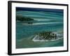 Sandbars with Palm Trees, Bora Bora-Mitch Diamond-Framed Photographic Print