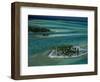 Sandbars with Palm Trees, Bora Bora-Mitch Diamond-Framed Photographic Print