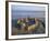 Sandcastle at Beach-David Barnes-Framed Photographic Print