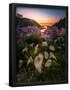 Essential Black