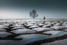 Just the Print
