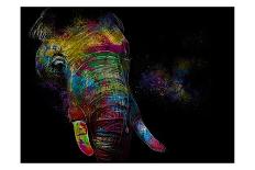 Kaleidoscope Elephant-Sander Van Laar-Art Print