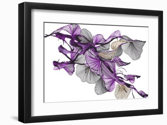 Sander-Kiran Patel-Framed Art Print