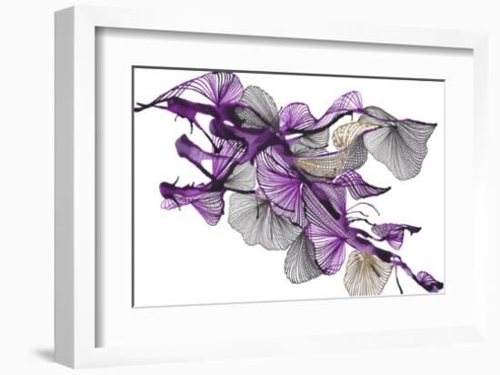 Sander-Kiran Patel-Framed Art Print