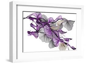 Sander-Kiran Patel-Framed Art Print