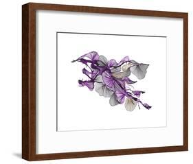 Sander-Kiran Patel-Framed Art Print