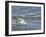 Sanderling-Gary Carter-Framed Premium Photographic Print